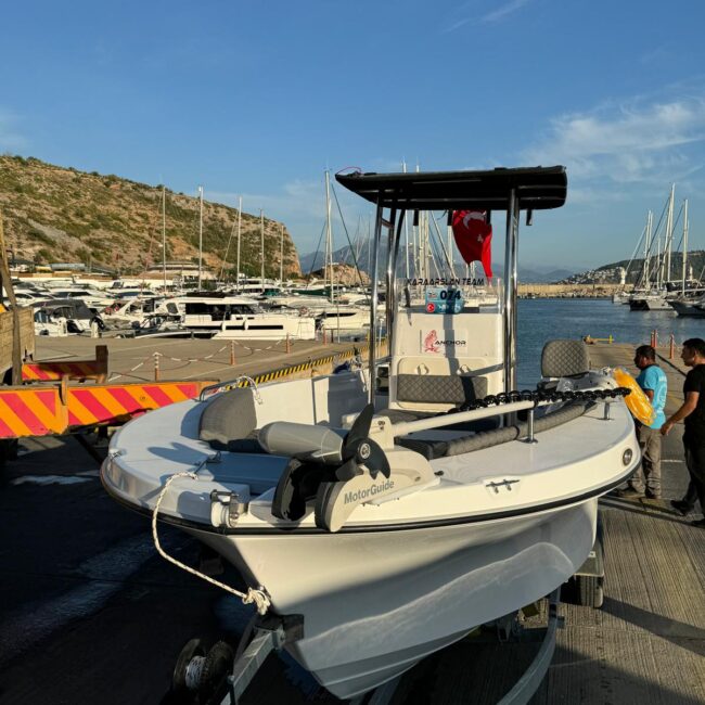 WhatsApp Image 2026-01-04 at 22.05.44 (1)